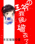 王爷我爬墙去了
