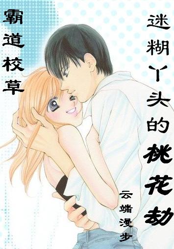 迷糊丫头的桃花劫【完结】