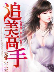 追美高手