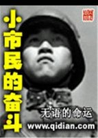 小市民的奋斗