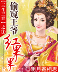 偷窥王爷红果果