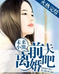 旧爱的秘密，前夫离婚吧！